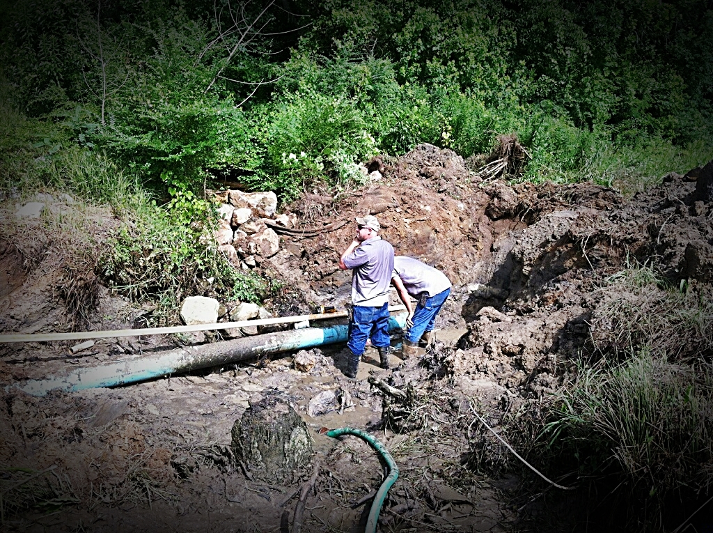 Water dept 062014